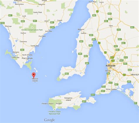 neptunia map|Google Maps.